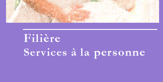 Lire la suite à propos de l’article Bac Professionnel Accompagnement, Soins et Services à la personne