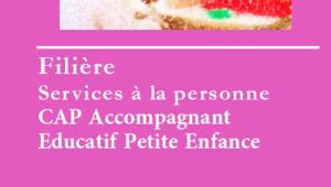 Lire la suite à propos de l’article CAP Accompagnant Educatif Petite Enfance