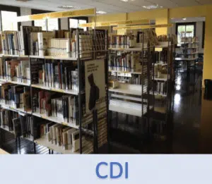 Lire la suite à propos de l’article Bienvenue au CDI !
