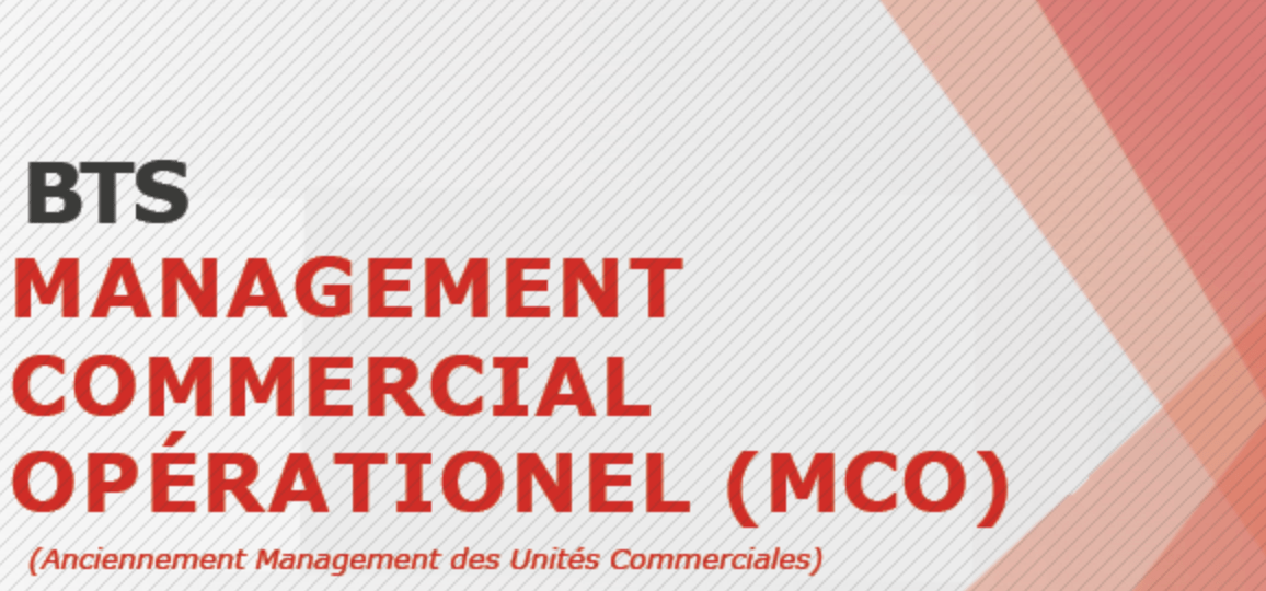 Lire la suite à propos de l’article BTS Management Commercial Opérationnel (MCO)