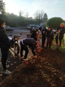Lire la suite à propos de l’article Un jardin potager de plantes aromatiques au lycée