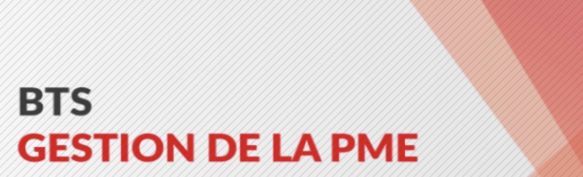 You are currently viewing BTS Gestion des Petites et Moyennes Entreprises (GPME)