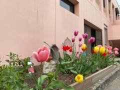 Lire la suite à propos de l’article Une campagne d&rsquo;entretien du jardin par les élèves de Terminale CSenHCR