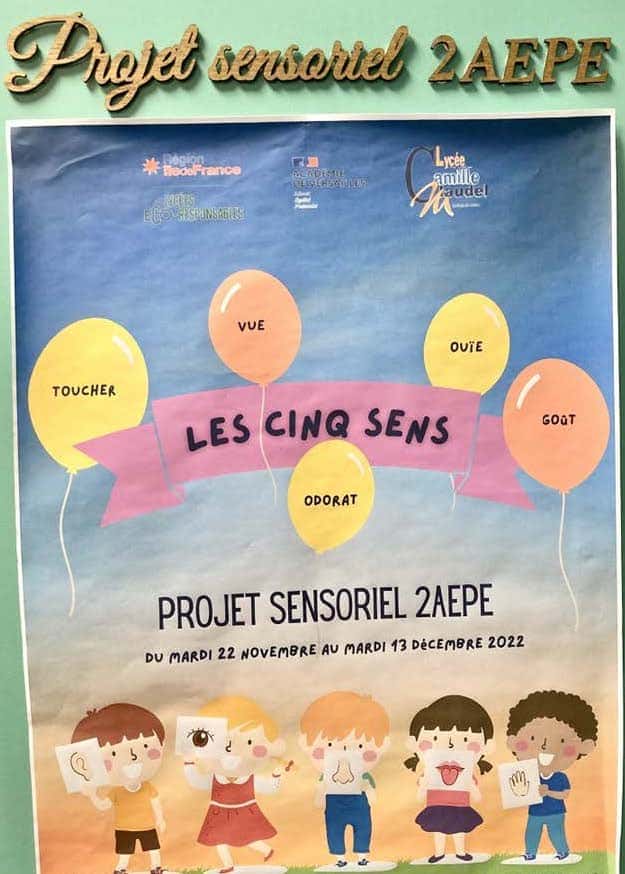 Lire la suite à propos de l’article le projet sensoriel 2AEPE