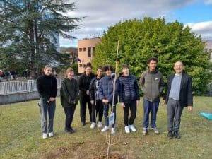 Lire la suite à propos de l’article Les Eco-délégués ont planté un arbre symbole du E3D