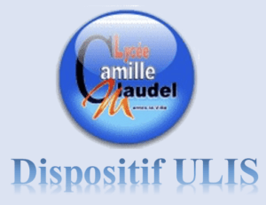 Lire la suite à propos de l’article Un Séjour en Irlande Inoubliable : Une Expérience d&rsquo;Inclusion avec les élèves du dispositif ULIS