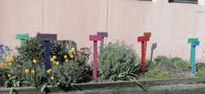 Lire la suite à propos de l’article Les 2CSHCR embellissent le jardin du lycée