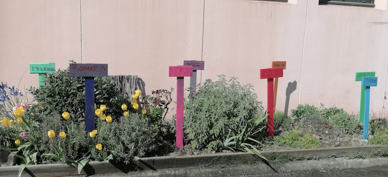 Lire la suite à propos de l’article Les 2CSHCR embellissent le jardin du lycée