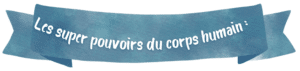 Lire la suite à propos de l’article Les super-pouvoirs du corps humain : une matinée sensorielle réussie